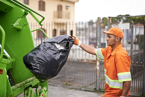 Yard Cleanup Services in Twin Grove, IL